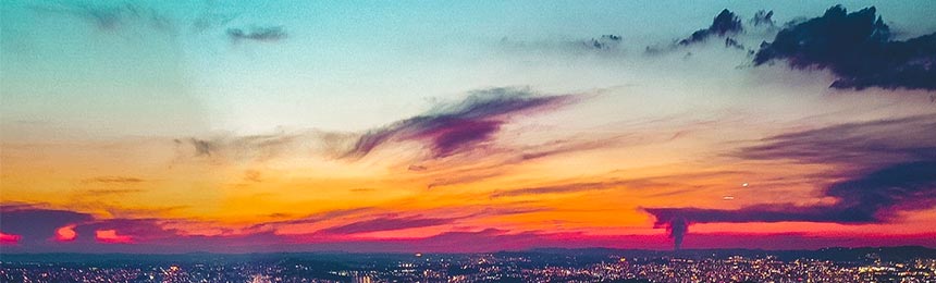 汉中茶虫网_汉中品茶